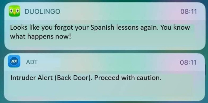 Duolingo notification oh crap Blank Meme Template