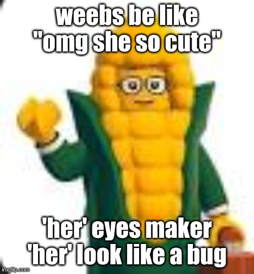 solomon fleck | weebs be like "omg she so cute"; 'her' eyes maker 'her' look like a bug | image tagged in solomon fleck | made w/ Imgflip meme maker