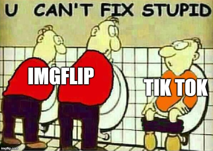 can't fix stupid | TIK TOK; IMGFLIP | image tagged in u can't fix stupid | made w/ Imgflip meme maker