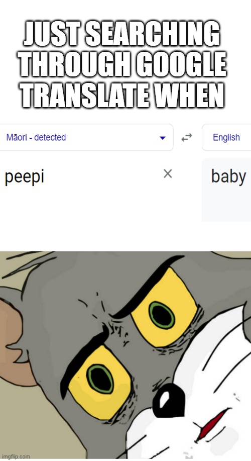 JUST SEARCHING THROUGH GOOGLE TRANSLATE WHEN | image tagged in sus,google translate,memes,fun | made w/ Imgflip meme maker