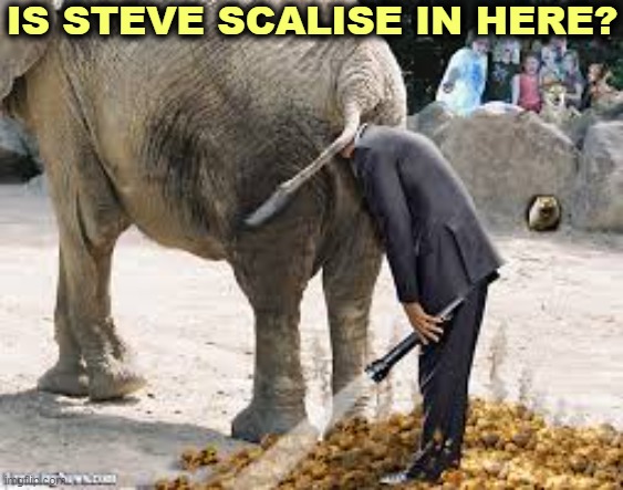 IS STEVE SCALISE IN HERE? | image tagged in republican,confusion,speaker,clowns,circus | made w/ Imgflip meme maker