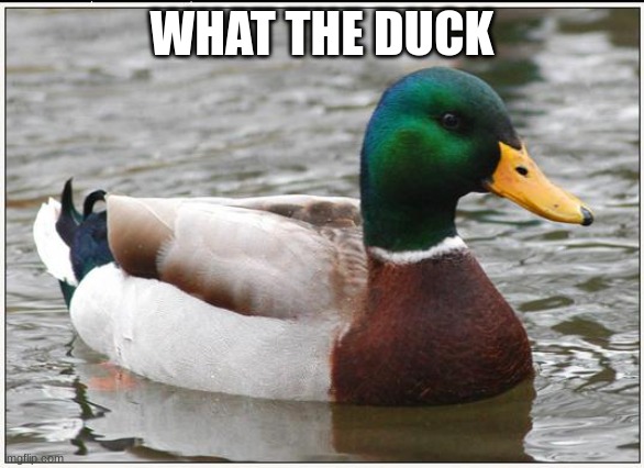 Actual Advice Mallard Meme | WHAT THE DUCK | image tagged in memes,actual advice mallard | made w/ Imgflip meme maker