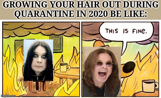 That kinda sums up 2020 from some people's perspectives - which I'd say is kinda obvious in retrospect | GROWING YOUR HAIR OUT DURING QUARANTINE IN 2020 BE LIKE: | image tagged in memes,this is fine,quarantine,2020,long hair,dank memes | made w/ Imgflip meme maker