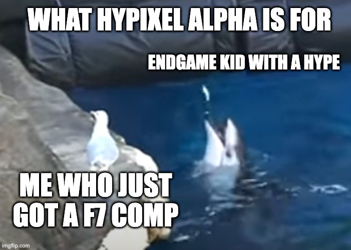 what hypixel alpha is for - Imgflip