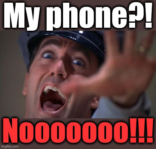Noooooooo | My phone?! Nooooooo!!! | image tagged in noooooooo | made w/ Imgflip meme maker