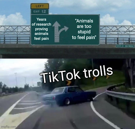 I've seen way too many people say this | Years of research proving animals feel pain; "Animals are too stupid to feel pain"; TikTok trolls | image tagged in memes,left exit 12 off ramp | made w/ Imgflip meme maker