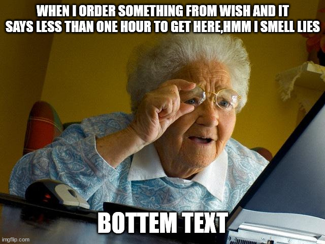 Grandma Finds The Internet Meme | WHEN I ORDER SOMETHING FROM WISH AND IT SAYS LESS THAN ONE HOUR TO GET HERE,HMM I SMELL LIES; BOTTEM TEXT | image tagged in memes,grandma finds the internet | made w/ Imgflip meme maker