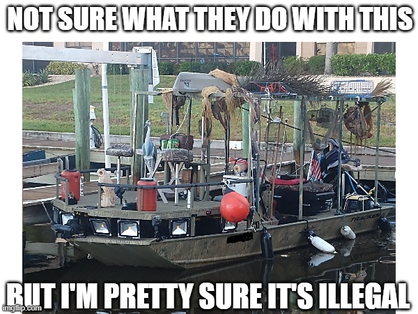 Questionable swamp boat | NOT SURE WHAT THEY DO WITH THIS; BUT I'M PRETTY SURE IT'S ILLEGAL | image tagged in up to no good | made w/ Imgflip meme maker