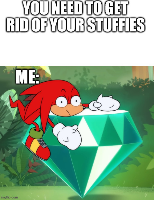 You can't make me | YOU NEED TO GET RID OF YOUR STUFFIES; ME: | image tagged in sonic,knuckles,chaosemerald | made w/ Imgflip meme maker