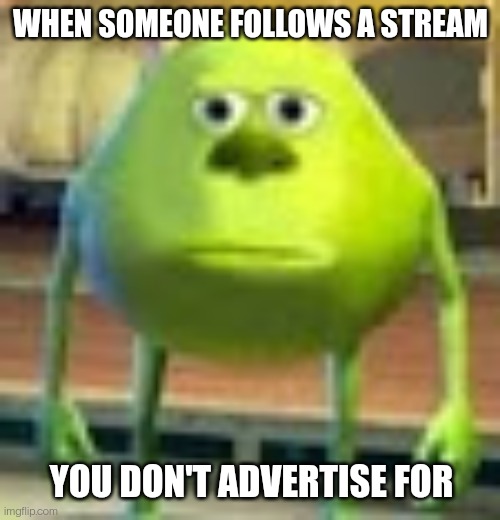 Sully Wazowski | WHEN SOMEONE FOLLOWS A STREAM; YOU DON'T ADVERTISE FOR | image tagged in sully wazowski | made w/ Imgflip meme maker