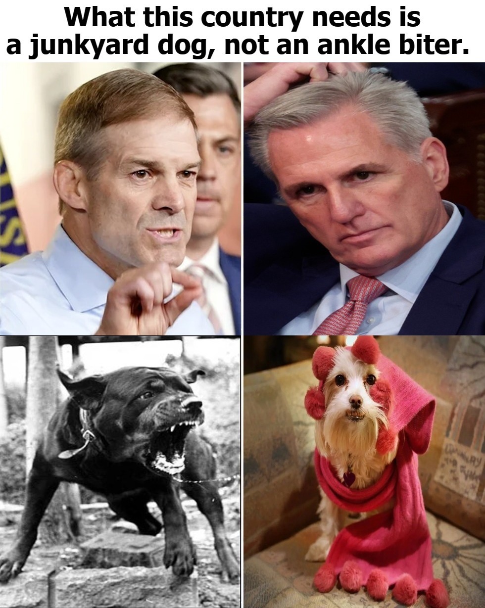 What this country needs is a junkyard dog, not an ankle biter. | image tagged in jim jordan,kevin mccarthy,junkyard dog vs ankle biter,junkyard dog,ankle biter | made w/ Imgflip meme maker