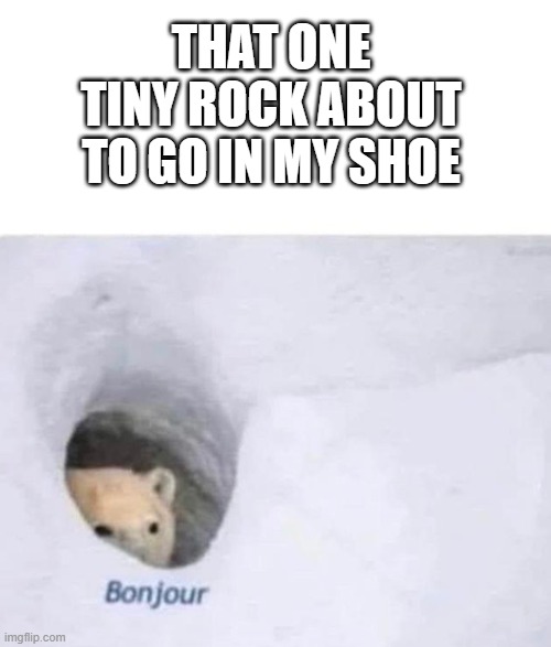 relatable | THAT ONE TINY ROCK ABOUT TO GO IN MY SHOE | image tagged in bonjour,relatable,so true memes,so true | made w/ Imgflip meme maker