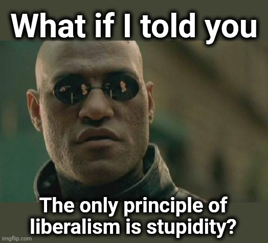 Matrix Morpheus Meme | What if I told you The only principle of liberalism is stupidity? | image tagged in memes,matrix morpheus | made w/ Imgflip meme maker