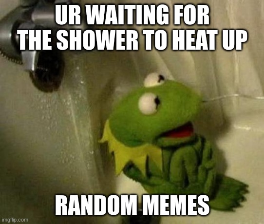 Kermit on Shower | UR WAITING FOR THE SHOWER TO HEAT UP; RANDOM MEMES | image tagged in kermit on shower | made w/ Imgflip meme maker