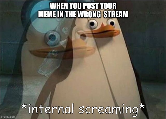 it rhymes too | WHEN YOU POST YOUR MEME IN THE WRONG  STREAM | image tagged in private internal screaming | made w/ Imgflip meme maker