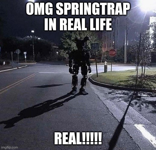 Only In Utah | OMG SPRINGTRAP IN REAL LIFE; REAL!!!!! | image tagged in fnaf 3,springtrap | made w/ Imgflip meme maker