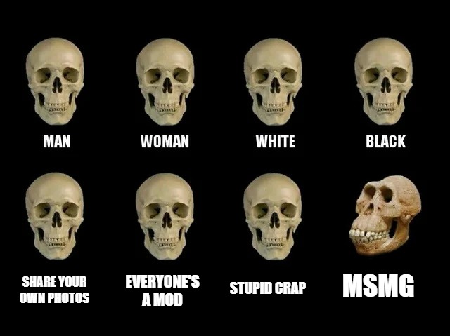 EVERYONE'S A MOD; STUPID CRAP; MSMG; SHARE YOUR OWN PHOTOS | image tagged in skulls,kewlew | made w/ Imgflip meme maker