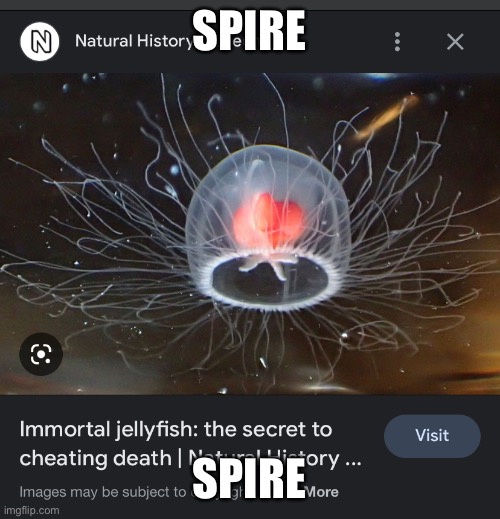 SPIRE; SPIRE | made w/ Imgflip meme maker