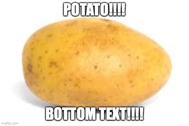 POTATOES | POTATO!!!! BOTTOM TEXT!!!! | image tagged in potato | made w/ Imgflip meme maker