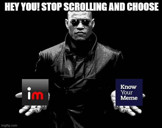 choose wisely | HEY YOU! STOP SCROLLING AND CHOOSE | image tagged in matrix morpheus offer,know your meme,imgflip | made w/ Imgflip meme maker