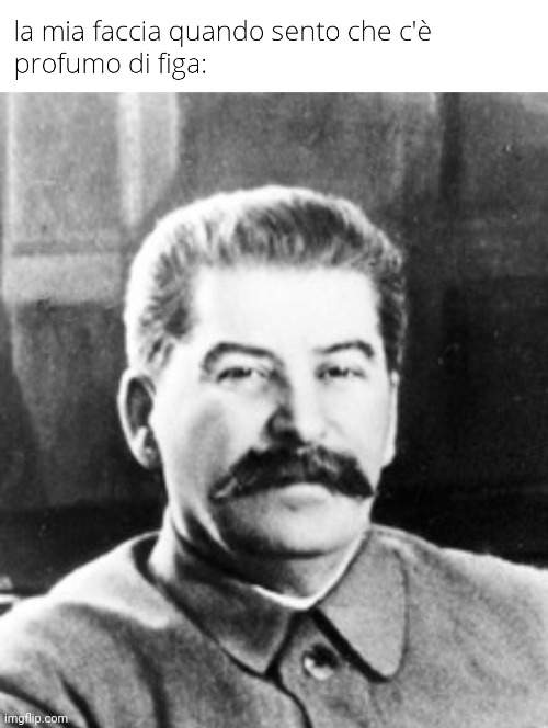 My face after if I smell potato | image tagged in stalin,joseph stalin,italian | made w/ Imgflip meme maker