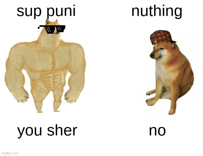 ioii | sup puni; nuthing; you sher; no | image tagged in memes,buff doge vs cheems | made w/ Imgflip meme maker