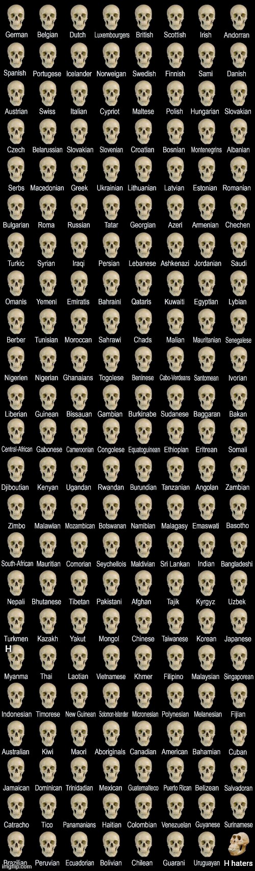 Deformed skull | H; H haters | image tagged in deformed skull | made w/ Imgflip meme maker