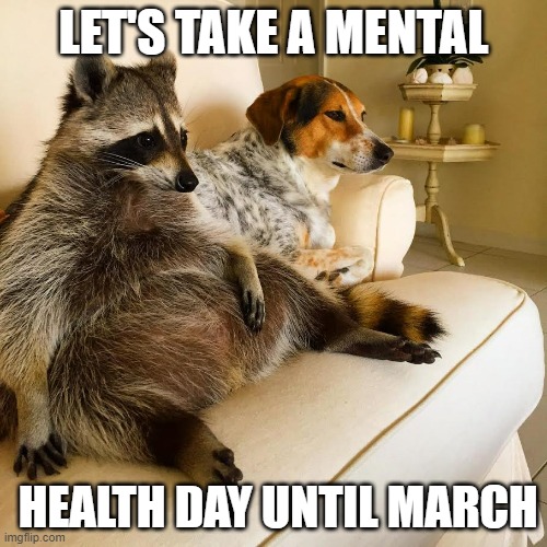 Calling Out Sick | LET'S TAKE A MENTAL; HEALTH DAY UNTIL MARCH | image tagged in racoon tv,pto,paid time off | made w/ Imgflip meme maker