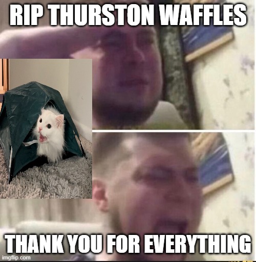 Thank you Thurston Waffles❤️ | RIP THURSTON WAFFLES; THANK YOU FOR EVERYTHING | image tagged in crying salute | made w/ Imgflip meme maker