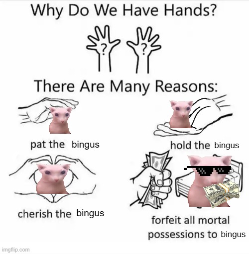 Why do we have hands? (all blank) | bingus; bingus; bingus; bingus | image tagged in why do we have hands all blank | made w/ Imgflip meme maker