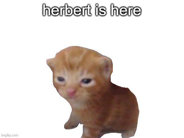 herbert is here | herbert is here | image tagged in funny memes | made w/ Imgflip meme maker