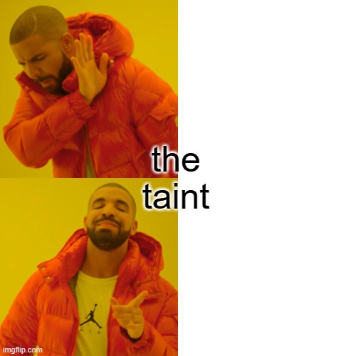 Drake Hotline Bling Meme | the taint | image tagged in memes,drake hotline bling | made w/ Imgflip meme maker