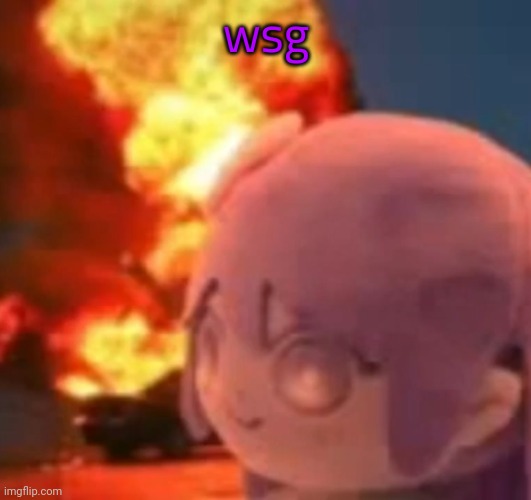 msmg | wsg | image tagged in msmg | made w/ Imgflip meme maker