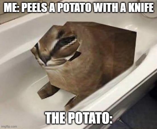 more like squareto | ME: PEELS A POTATO WITH A KNIFE; THE POTATO: | image tagged in floppa tub,couch potato | made w/ Imgflip meme maker