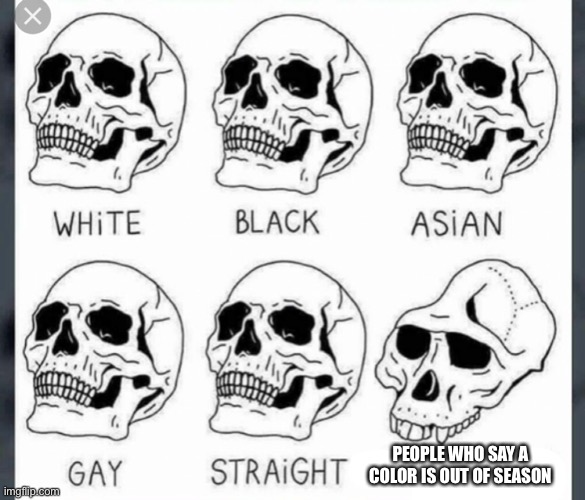 White Black Asian Gay Straight skull template | PEOPLE WHO SAY A COLOR IS OUT OF SEASON | image tagged in white black asian gay straight skull template | made w/ Imgflip meme maker