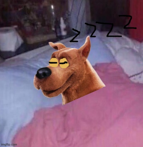 how scooby sleeps | image tagged in how i sleep at night,warner bros,dogs,sleep | made w/ Imgflip meme maker