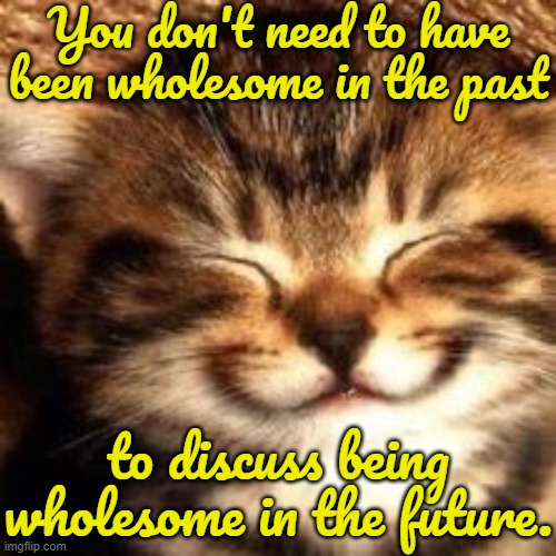 It's never too late to start. | You don't need to have been wholesome in the past; to discuss being wholesome in the future. | image tagged in lmao wholesome kitten,cute cat | made w/ Imgflip meme maker