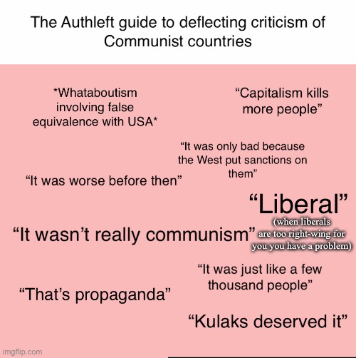 Don’t forget the magic word “reactionary” to refer to any and all dissent | (when liberals are too right-wing for you you have a problem) | made w/ Imgflip meme maker