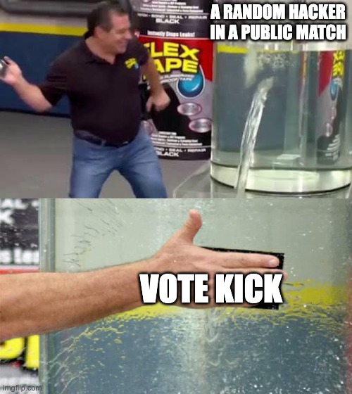 Flex Tape | A RANDOM HACKER IN A PUBLIC MATCH; VOTE KICK | image tagged in flex tape | made w/ Imgflip meme maker