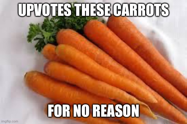 Carrots | UPVOTES THESE CARROTS; FOR NO REASON | image tagged in carrots | made w/ Imgflip meme maker