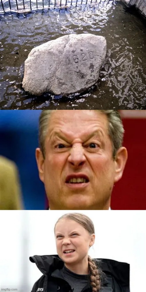 image tagged in plymouth rock,al gore | made w/ Imgflip meme maker