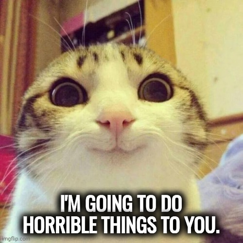 Cat smiling sweet.Not. | I'M GOING TO DO HORRIBLE THINGS TO YOU. | image tagged in memes,smiling cat | made w/ Imgflip meme maker