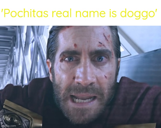 Mysterio | 'Pochitas real name is doggo' | image tagged in mysterio | made w/ Imgflip meme maker