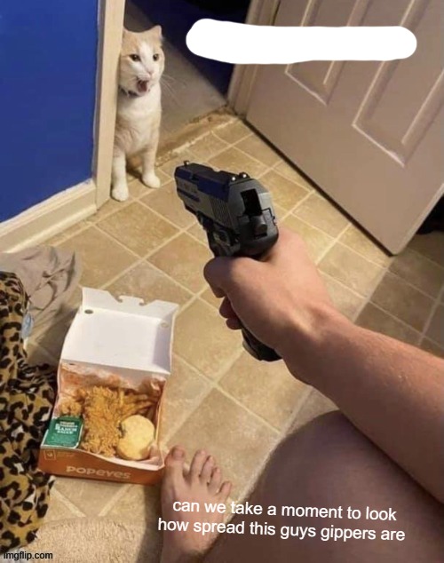 Gun to cat | can we take a moment to look how spread this guys gippers are | image tagged in gun to cat | made w/ Imgflip meme maker