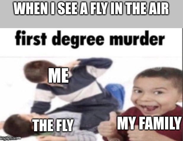 murder | WHEN I SEE A FLY IN THE AIR; ME; THE FLY; MY FAMILY | image tagged in murder | made w/ Imgflip meme maker