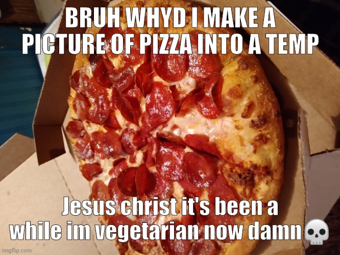 I'm a dumbass ong | BRUH WHYD I MAKE A PICTURE OF PIZZA INTO A TEMP; Jesus christ it's been a while im vegetarian now damn💀 | made w/ Imgflip meme maker