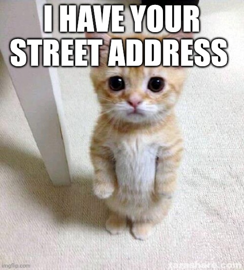 . | I HAVE YOUR STREET ADDRESS | image tagged in memes,cute cat | made w/ Imgflip meme maker