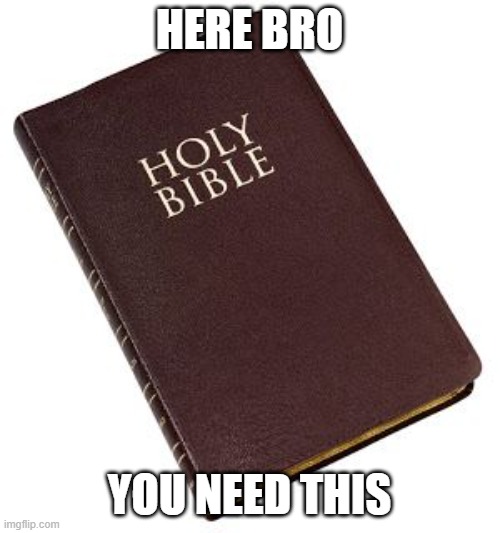 Holy Bible | HERE BRO YOU NEED THIS | image tagged in holy bible | made w/ Imgflip meme maker