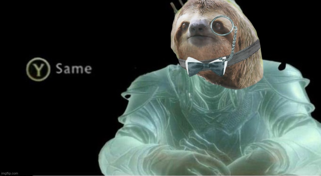 Y same monocle sloth Blank Meme Template
