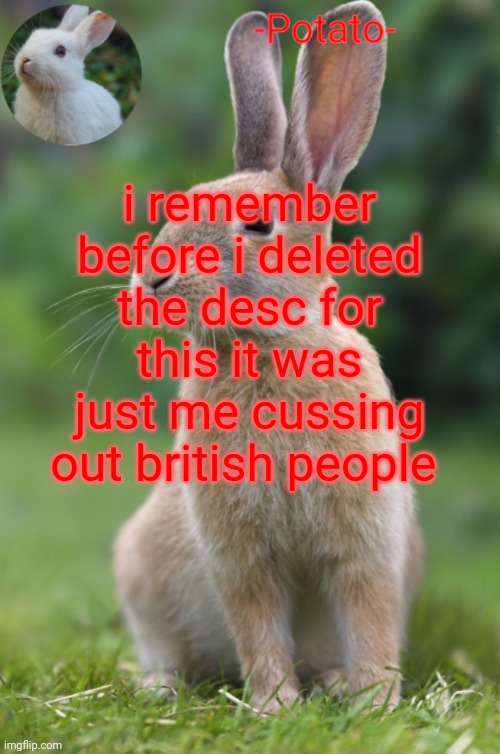 æ | i remember before i deleted the desc for this it was just me cussing out british people | made w/ Imgflip meme maker
